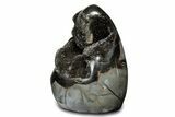 Free-Standing, Polished Septarian Geode - Black Crystals #302881-2